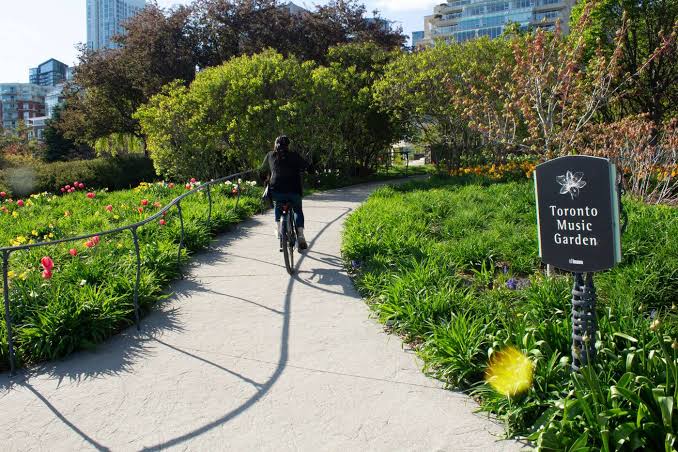 Visiting the Toronto Music garden